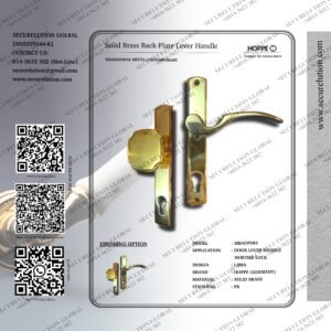 Solid Brass Back Plate Lever Handle