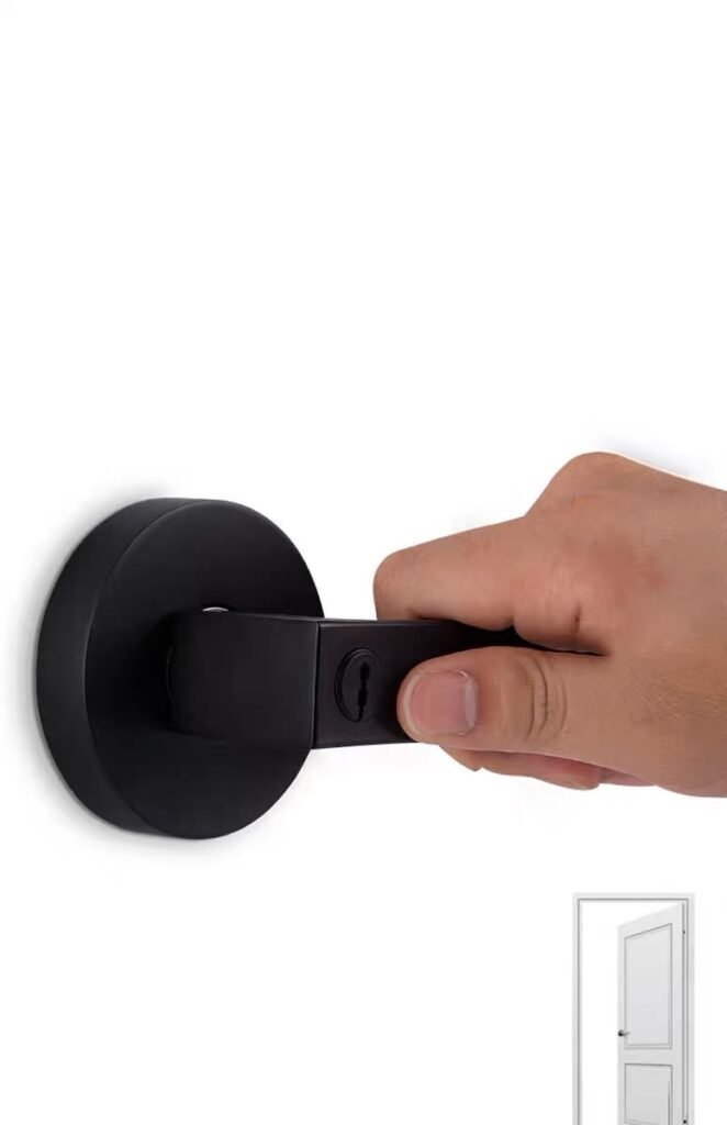 black handle for room door
