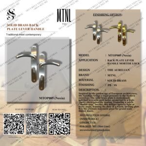 SOLID BRASS BACK PLATE LEVER HANDLE