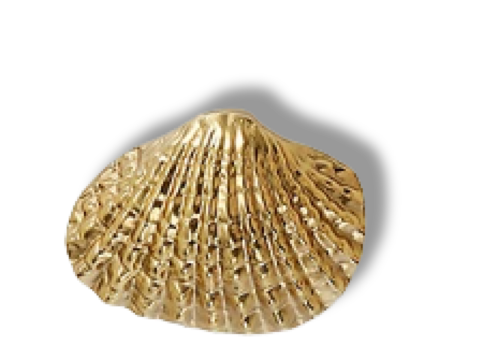 SOLID BRASS CABINET KNOBS - Image 4