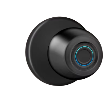 Smart Ball Door Lock (Model Q5) EVR023 - Image 3