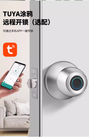 Smart Ball Door Lock (Model Q5) EVR023 - Image 8