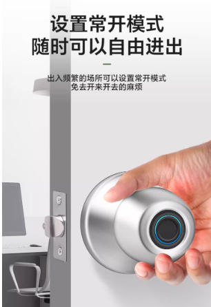 Smart Ball Door Lock (Model Q5) EVR023 - Image 7